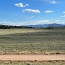 IMG_7616-r