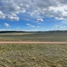 IMG_7617-r