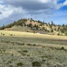 IMG_7620-r